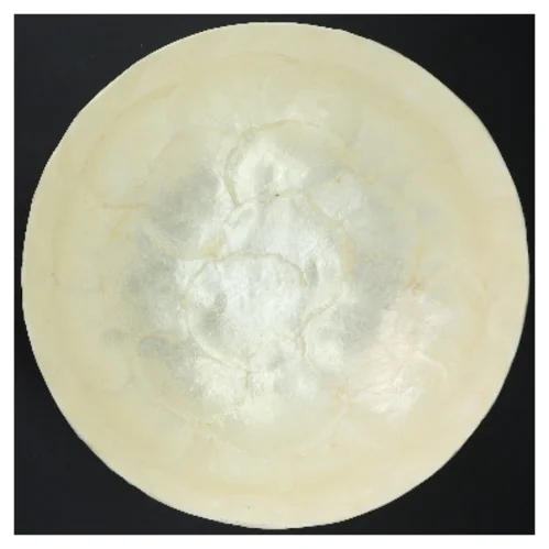 Ny Capiz Dekorativ perlemors skål (str. Ø 25 cm)