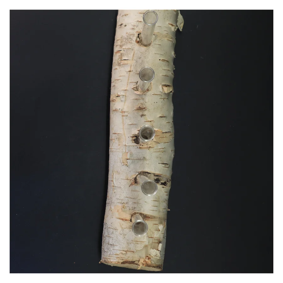 Unik blomsterholder i birketræ med reagensglas (str. 35x21 cm)