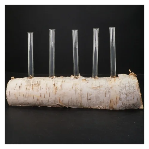 Unik blomsterholder i birketræ med reagensglas (str. 35x21 cm)