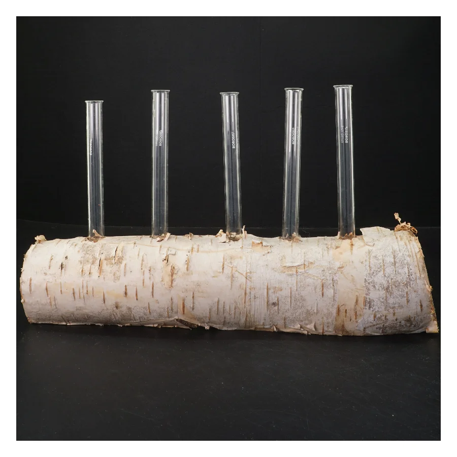 Unik blomsterholder i birketræ med reagensglas (str. 35x21 cm)