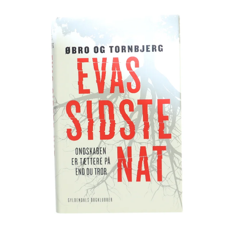 Evas sidste nat af Jeanette Øbro Gerlow (Bog)