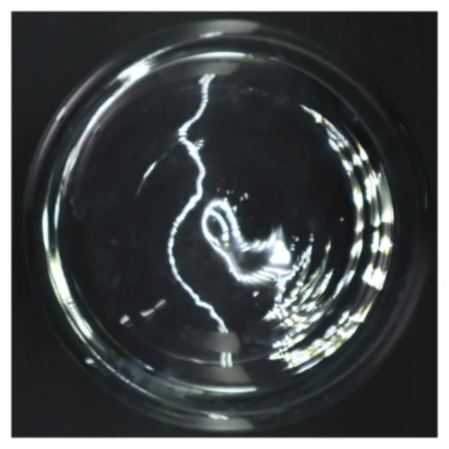 Glashurricane (str. H. 11 cm. ø. 19 cm)