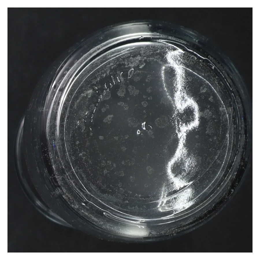 Vin/vandkaraffel (str. 21 cm)