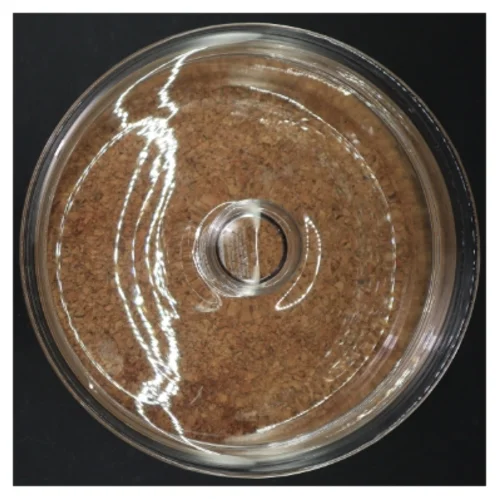 Gennemsigtigt glasfad med korkbund fra Bodum (str. Ø. 22 cm)