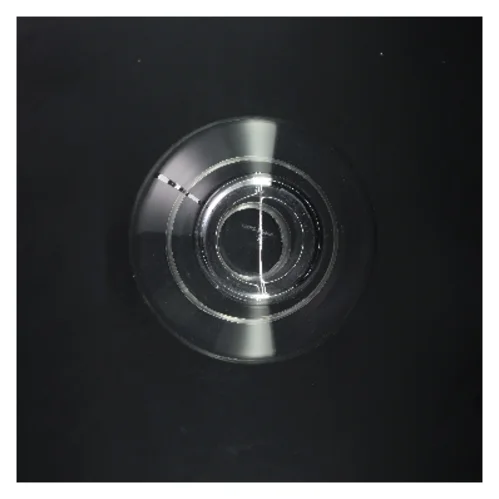 Glasvase Grace fra Georg Jensen (str. 23 cm)