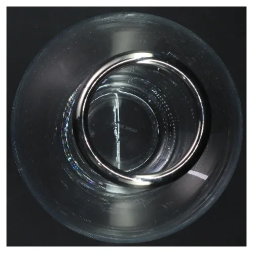 Glasvase Grace fra Georg Jensen (str. 23 cm)