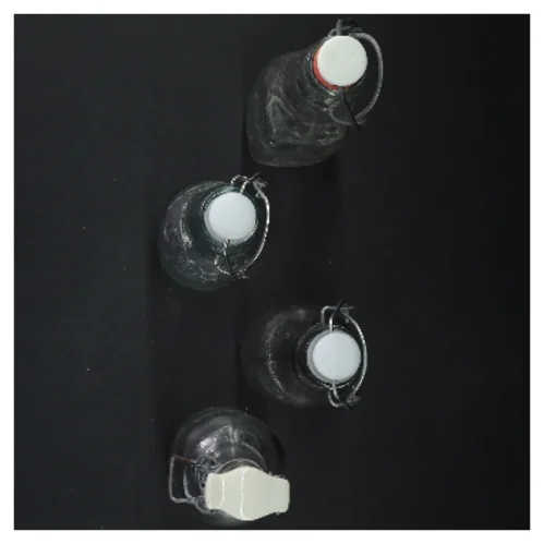 Gamle retro Glasflasker med patentlåg (str. 20x6 cm)