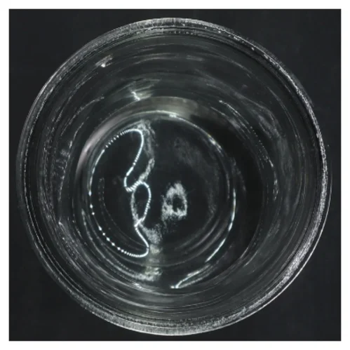 Glasvase  (str. H. 20 cm. ø. 12,5 cm)