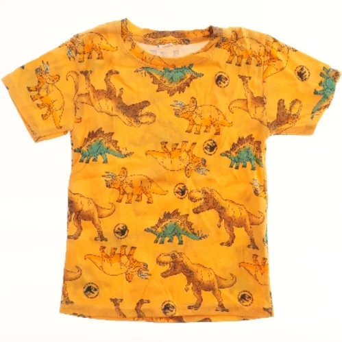 Børne T-shirt med dinosaurprint fra H&M (str. 122)