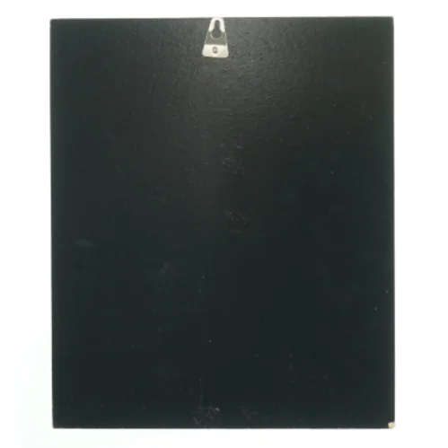 Spider-Man billede (str. 31x26 cm) fra Spiderman