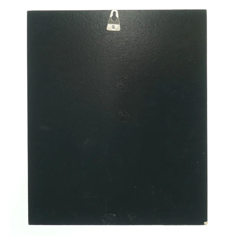 Spider-Man billede (str. 31x26 cm) fra Spiderman