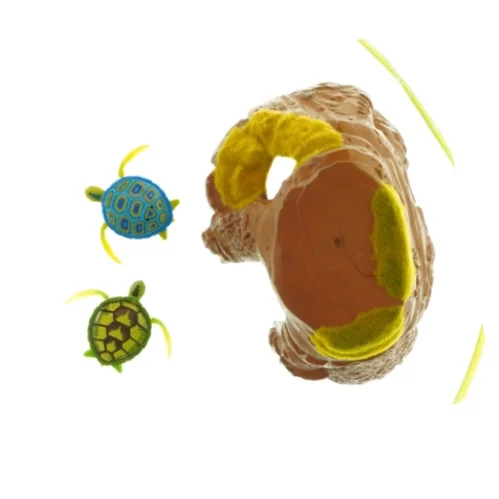 Badebassin med 2 Skildpadder