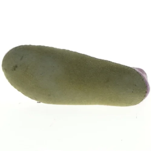 Indesko (str. Udvendig sål 22 cm)