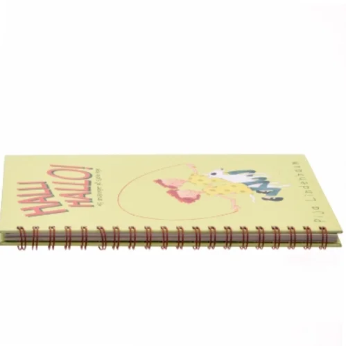 Halli Hallo! : 49 anvisninger på sjove lege af Pija Lindenbaum (Bog)