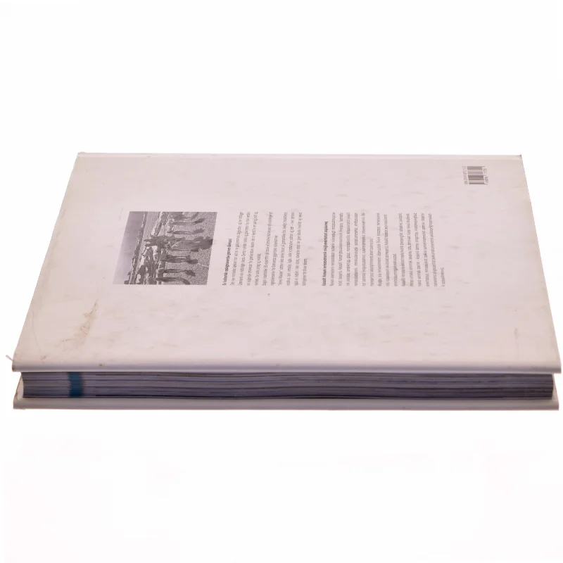 Nerisassiassaatigut (Bog)