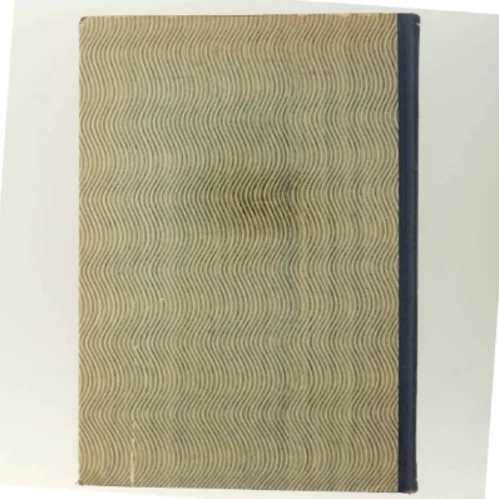 Farlig tomandsfærd - Af Ejnar Mikkelsen