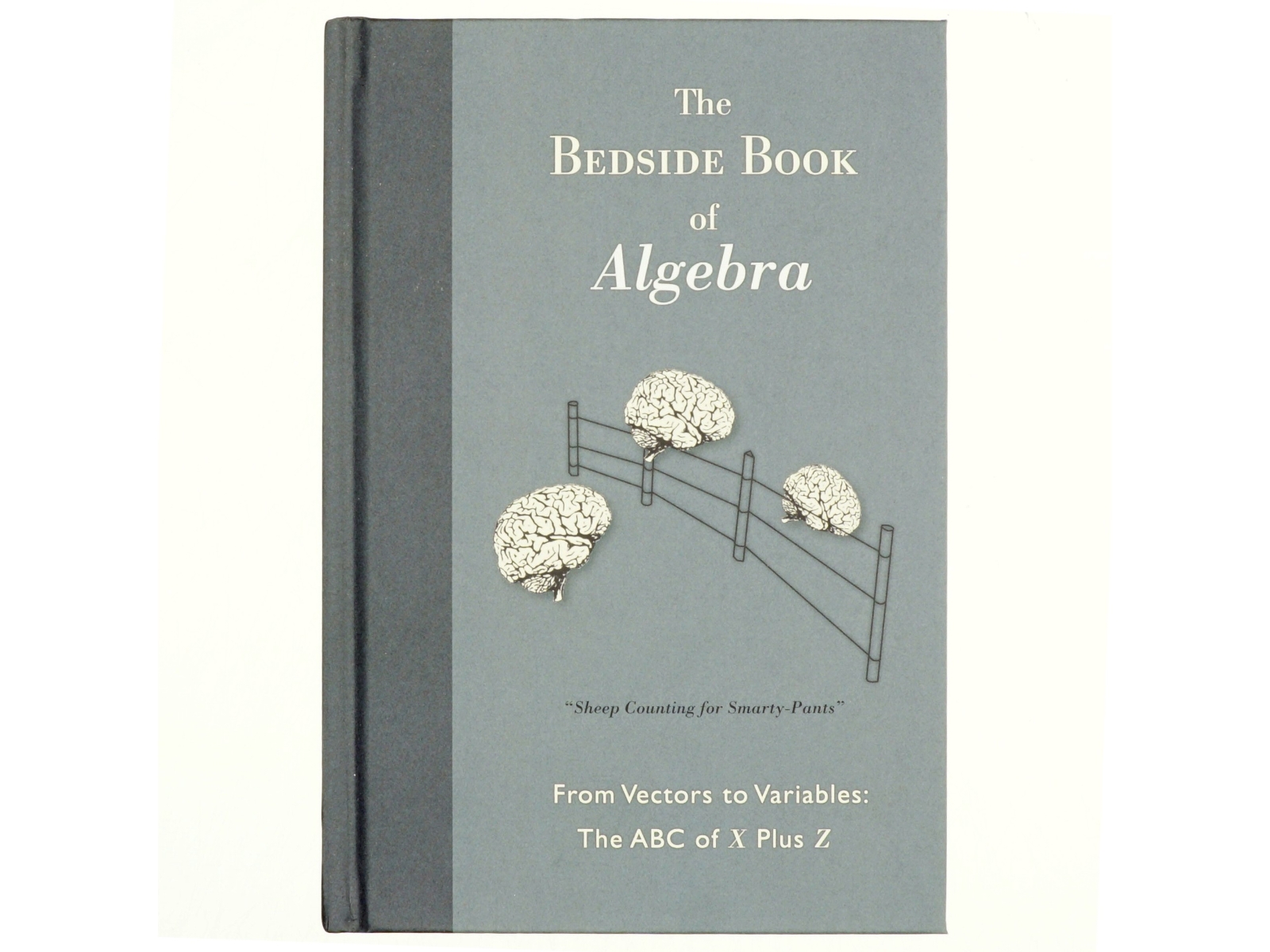 The bedside book of Algebra af Michael Willers (Bog)