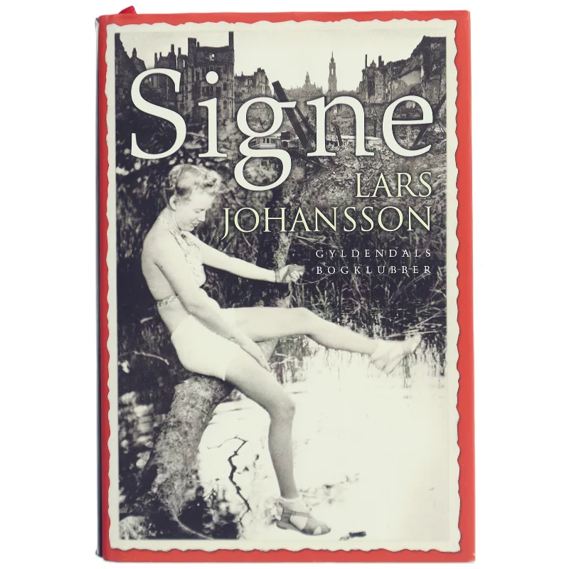 Signe : roman af Lars Johansson (f. 1949) (Bog)