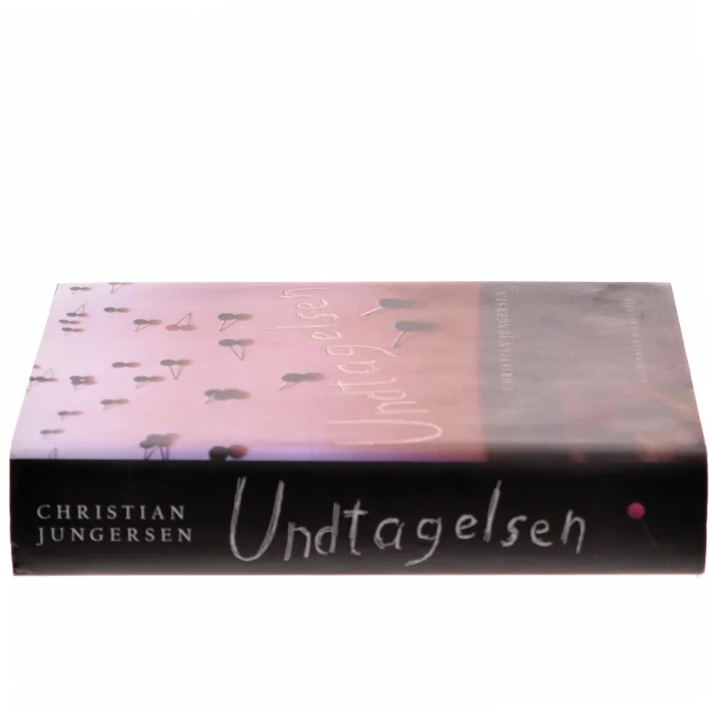 Undtagelsen : roman af Christian Jungersen (Bog)