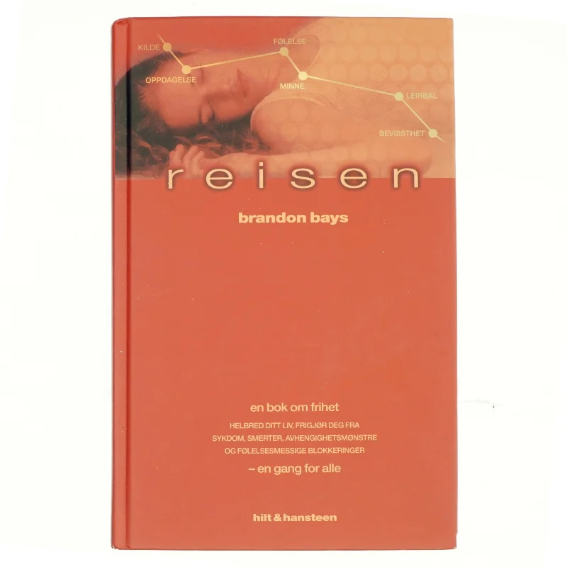 Reisen af Brandon Bays (Bog) Norsk