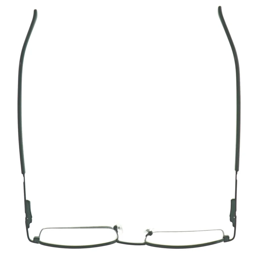 Briller med brilleetui + 1.5