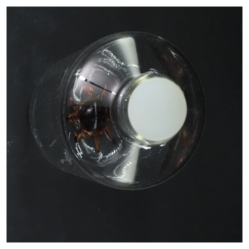 Glaskaraffel med blæksprutte design fra Balvi (str. 32 cm)