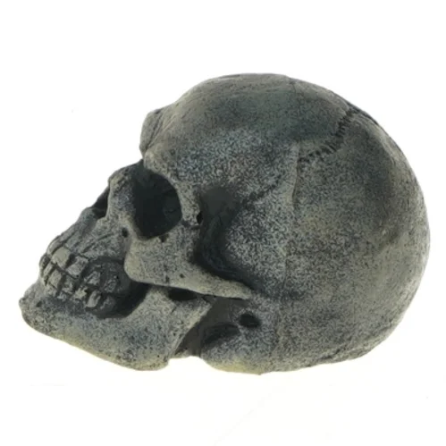 Dekorativ kranie figur (str. 10 cm)