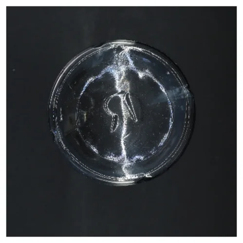 Glaskaraffel med låg fra Rosendahl (str. 26 cm)