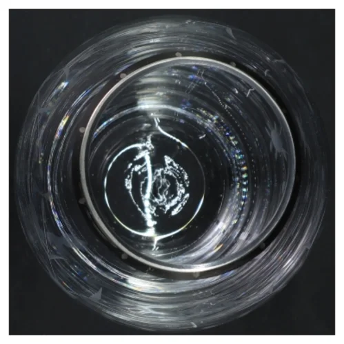 Dekoreret glasvase fra Herstal (str. H. 22 cm. ø. 14 cm)