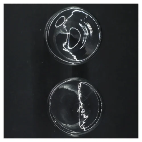 Gennemsigtige glasvaser (str. H. 15 cm. ø. 8 cm)