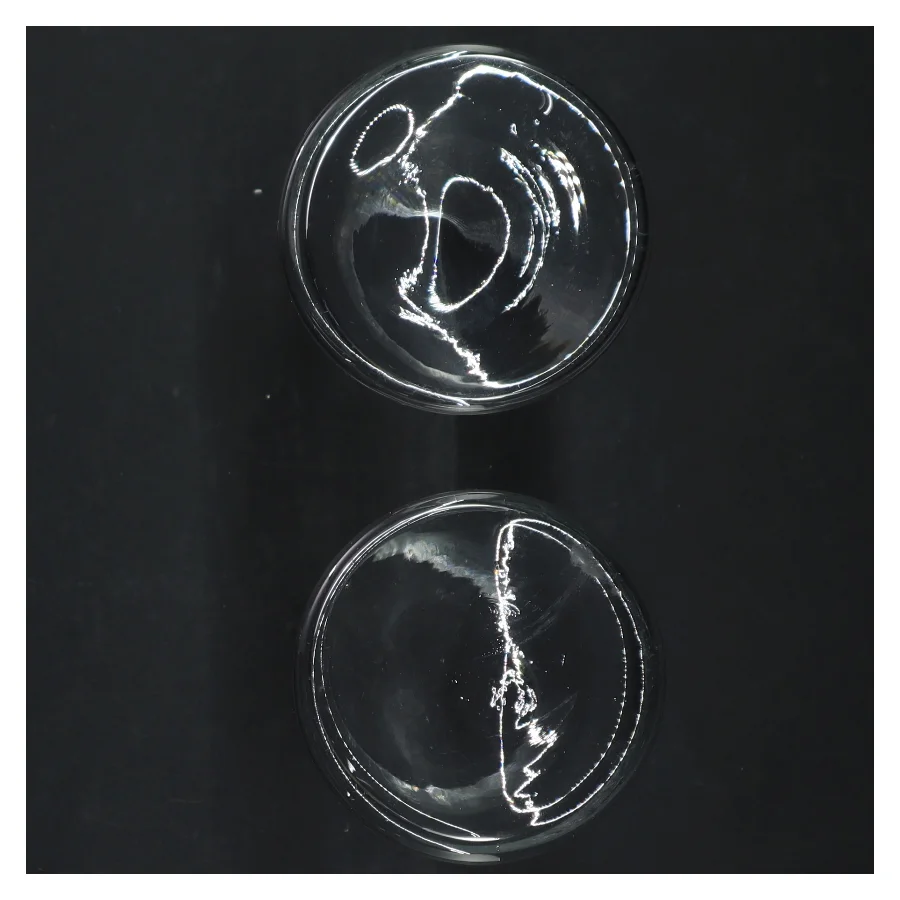 Gennemsigtige glasvaser (str. H. 15 cm. ø. 8 cm)