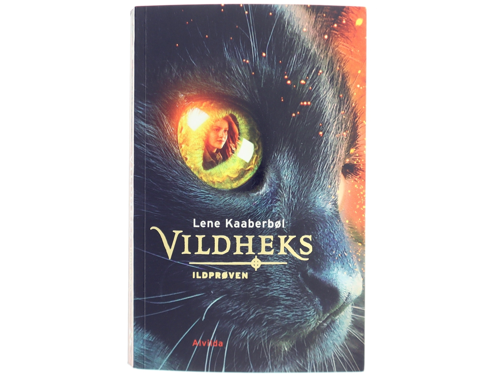 Vildheks. Bind 1, Ildprøven (Ill. Tina Burholt) af Lene Kaaberbøl (Bog)