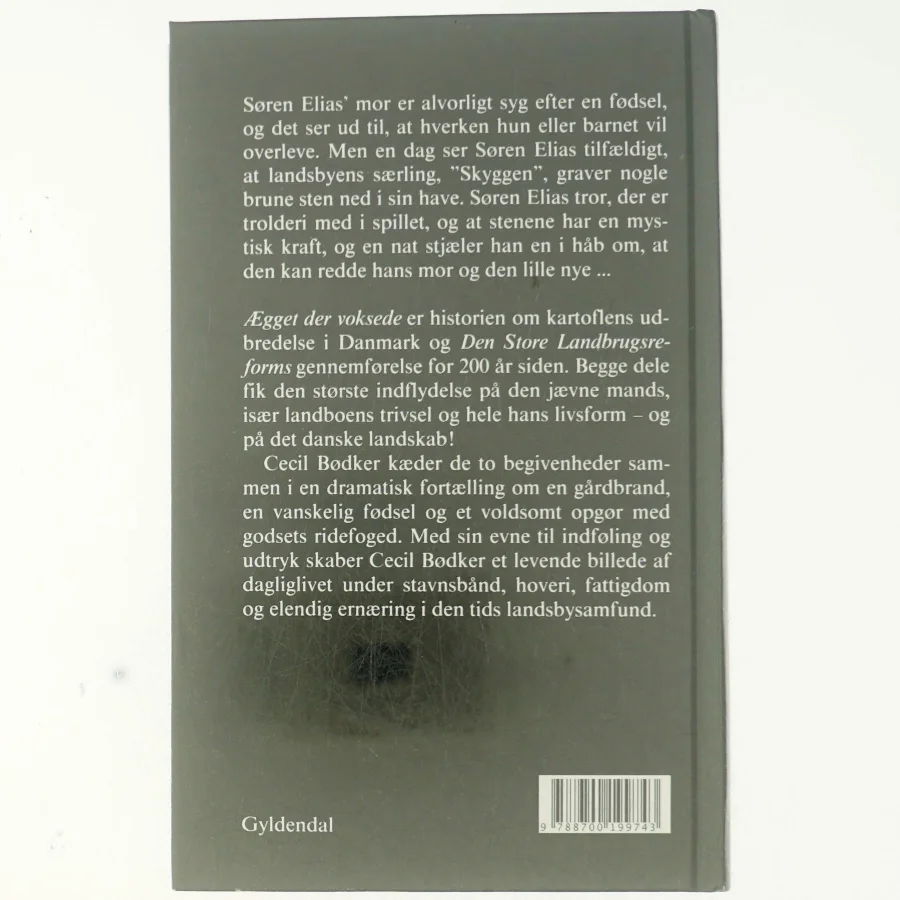 Ægget der voksede af Cecil Bødker (Bog)