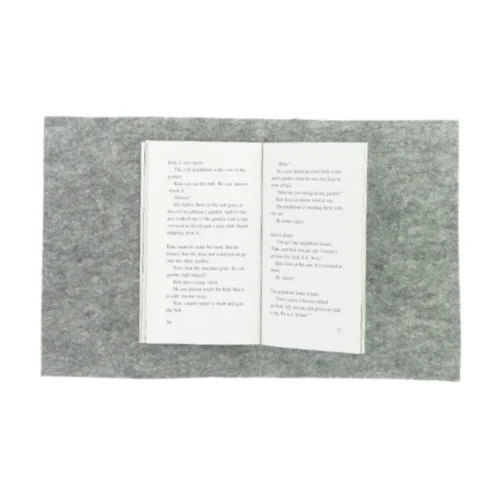 The evil neighbour af Henrik Egesborg (bog)