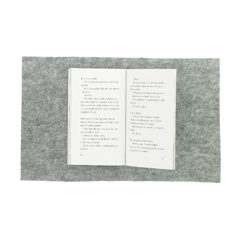 The evil neighbour af Henrik Egesborg (bog)