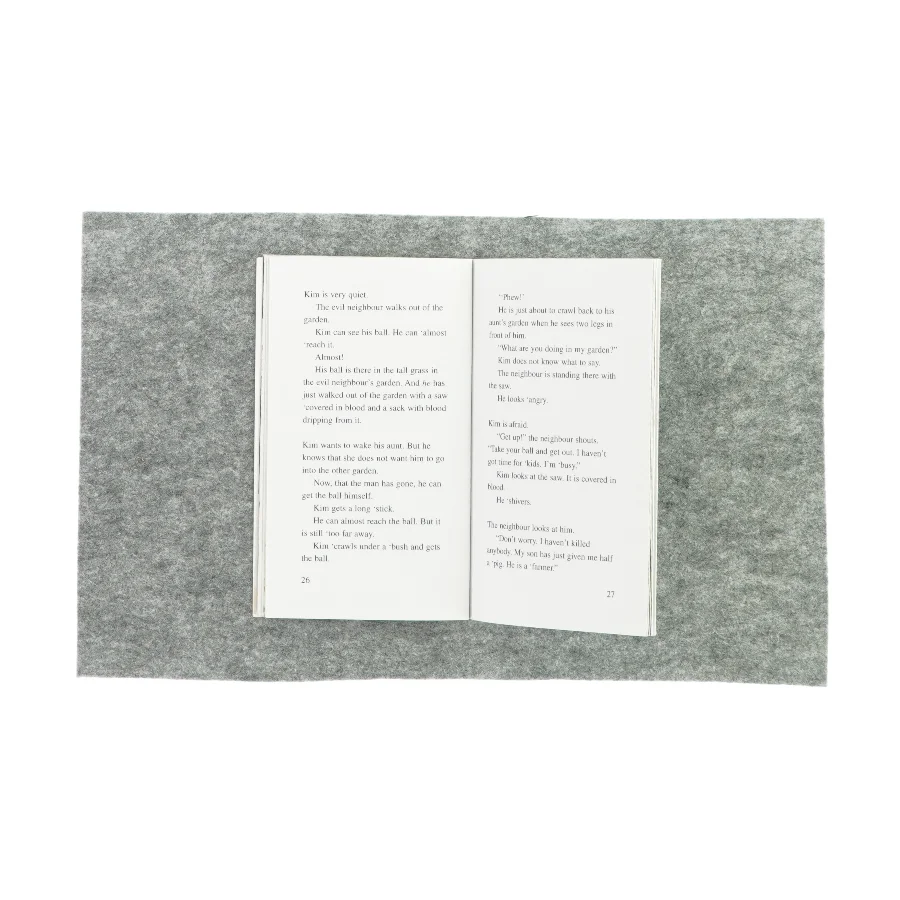 The evil neighbour af Henrik Egesborg (bog)