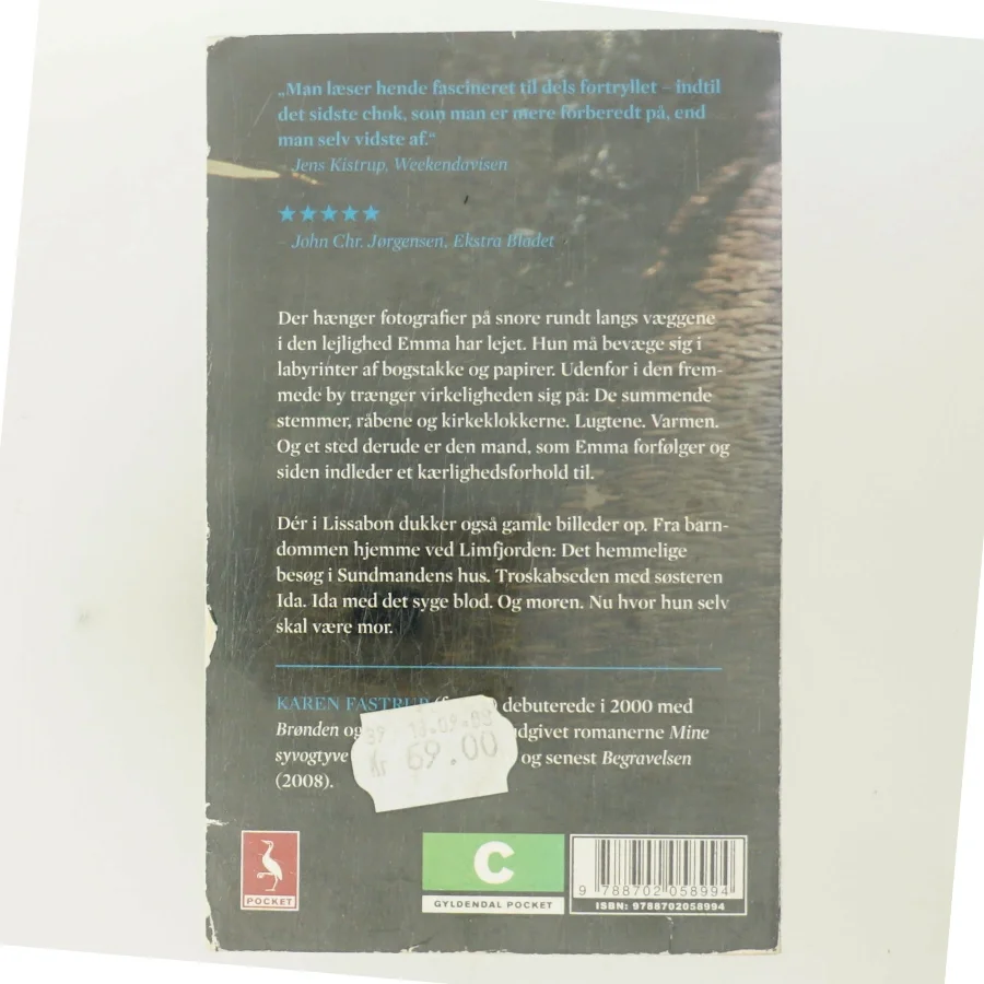 Brønden : roman af Karen Fastrup (Bog)