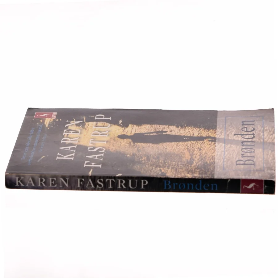 Brønden : roman af Karen Fastrup (Bog)