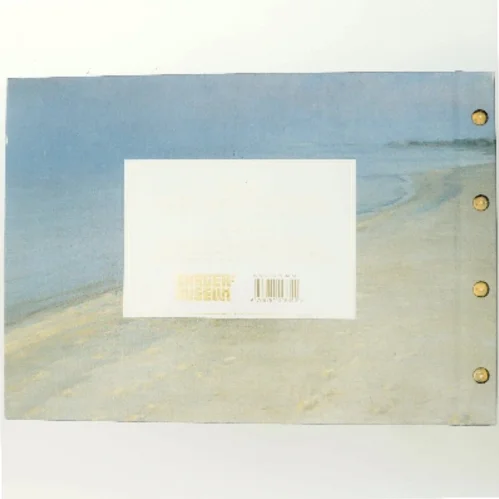 Samling & samtid : Skagensmalernes forunderlige møde med 14 samtidskunstnere af <Bogens forfattere> (Bog)