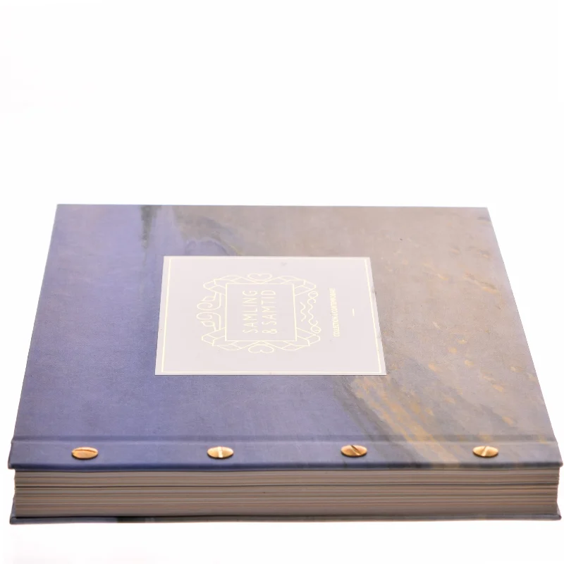 Samling & samtid : Skagensmalernes forunderlige møde med 14 samtidskunstnere af <Bogens forfattere> (Bog)