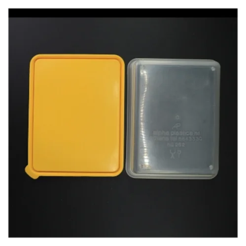 Plastbeholder med låg (str. 23 x 18 x 8 cm)