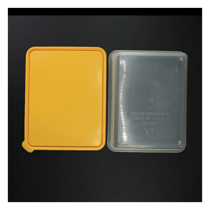 Plastbeholder med låg (str. 23 x 18 x 8 cm)