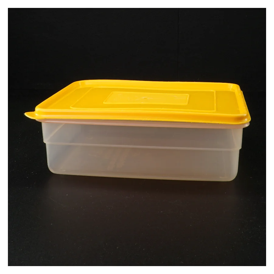 Plastbeholder med låg (str. 23 x 18 x 8 cm)