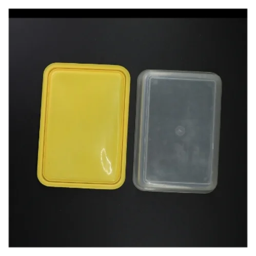 Plast opbevaringsboks med låg (str. 22 x 15 x 6 cm)