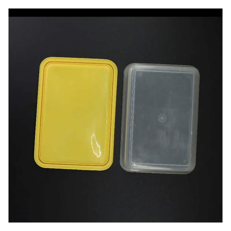 Plast opbevaringsboks med låg (str. 22 x 15 x 6 cm)