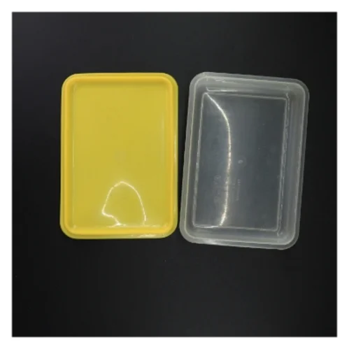 Plast opbevaringsboks med låg (str. 22 x 15 x 6 cm)