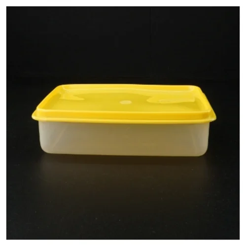 Plast opbevaringsboks med låg (str. 22 x 15 x 6 cm)