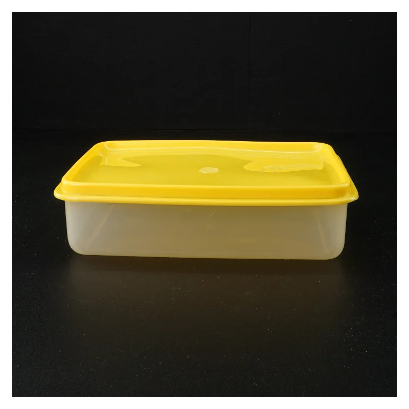 Plast opbevaringsboks med låg (str. 22 x 15 x 6 cm)