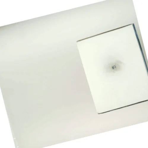 Illustreret Videnskab 