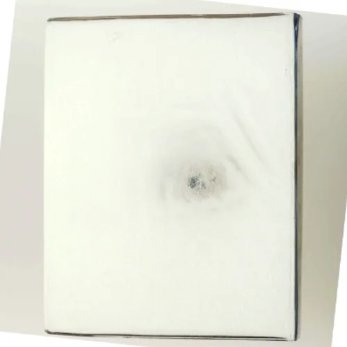 Illustreret Videnskab Magasiner fra Illustreret Videnskab